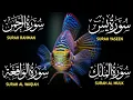 Download Lagu Surah Yaseen ❤ Surah Rahman ❤ Surah Al Waqia ❤ Surah Al mulk Soothing Quran recitation | Ep73