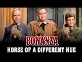 Download Lagu Bonanza - Horse of a Different Hue | Western Series | FULL EPISODES | English