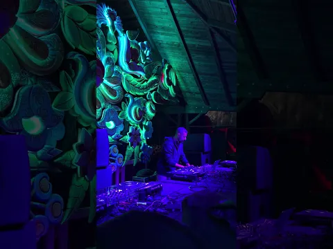 Farebi Jalebi playing at Ozora Festival 2026
