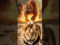 Download Lagu macan vs singa #animalshorts #tiger #lion