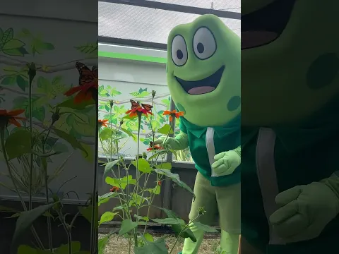¿Has visto una mariposa?🦋🥰 #cancionesinfantiles #youtubekids #animals #youtubeshorts