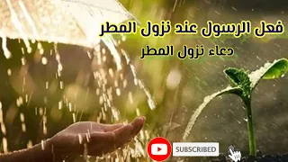 دعاء المطر دعاء سماع الرعد دعاء رؤية البرق فعل الرسول عند نزول المطر دعاء المطر رعد 