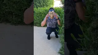 الحرامي النشال Shorts 