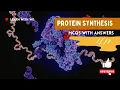 protein synthesis MCQs with answers Learn with wk