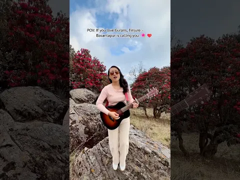 If you love Gurans, Tinjure–Basantapur is calling you🌺 Completely in love with this place ❤️
