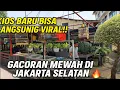 Download Lagu BAKAL VIRAL ! KIOS PENDATANG BARU INI JUAL BURUNG GACORAN MEWAH DAN PROSPEK LOMBA DI JAKARTA SELATAN
