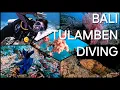 Bali Diving - Tulamben 2023 | Best Wreck Dive in Indonesia | Liberty Wreck | Amed | Pygmy  (4K60P)