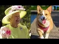 Download Lagu Top 10 Things You Never Knew About The Queen
