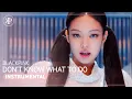 BLACKPINK - 'Don't Know What To Do' Instrumental