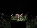 Kacey Musgraves - Tú Sólo Tú