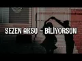 Download Lagu Sezen Aksu - Biliyorsun (Lyrics/Şarkı Sözleri)