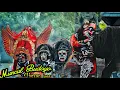 live Seni JARANAN MUNCUL BUDOYO || MBERAN KEDUL L - BANYUWANGI
