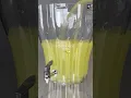 Download Lagu Love this drink dispenser!🥰🍹🍋#summervibes #drink #lemonade #drinkdispenser #walmart #summerdrink
