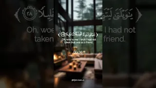 ويوم يعض الضالم على يديه القارئ الشيخ إسلام صبحي 