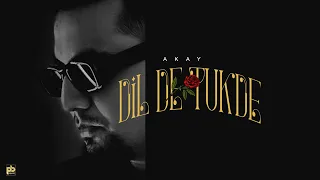 New Punjabi Song 2024 | Dil De Tukde (Official Audio) A Kay | Pendu Boyz | Latest Punjabi Songs 2024