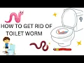 Unwanted Guests in Your Toilet Get Rid of Worms FAST