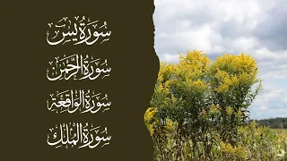 سورة يس سورة الرحمن سورة الواقعة سورة الملك القارئ إسلام صبحي Reciter Islam Sobhi 