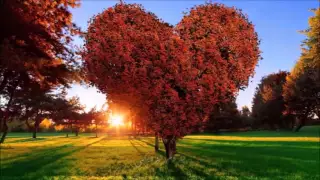 آهنگ عربى تملي معاك زیرنویس فارسی عمرو دياب 