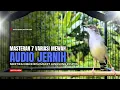 Lagu suara burung CIBLEK GACOR NGEBREN Pancingan Ciblek Semi bahan jadikan ciblek kristal gacor Tarung