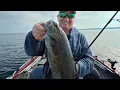 Door County Bronzeback