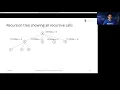 Dynamic programming part 2 Top-down and bottom-up implementations for rod-cutting solutions