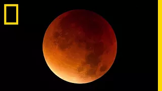 Lunar Eclipse 101 National Geographic