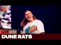 Download Lagu Dune Rats \u0026 friends - 'Am I Ever Gonna See Your Face Again?' (live at Splendour In The Grass)