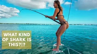 Shark Fishing BATTLE!