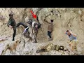 Download Lagu Cave dweller in ambush: Hussein and police try to rescue a young nomad