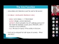 2210-ITT440 Chapter 4 3 Socket Function