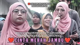 megantara cinta merah jambu cover nana nutrisari