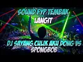 Download Lagu DJ SPONGEBOB CULIK AKU DONK DJ SAYANG CULIK AKU DONK TEMBAK LANGIT