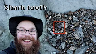 I found a fossil shark tooth and some other great fossils on a secluded beach