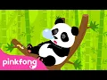 Download Lagu Panda | Lagu Binatang | Kartun \u0026 Lagu Anak | Pinkfong dan Baby Shark