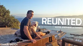 Australian Shepherd Reunited with Owner after 10 Months Apart