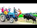 Download Lagu Must Watch Very Special New Funniest Comedy Video 2023😂Episode by Fun Tv 420