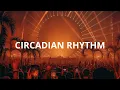 Lagu Drake - Circadian Rhythm (Tasty Or Not Remix)