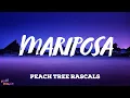 Download Lagu Peach Tree Rascals - Mariposa (Lyrics)