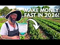DON T WAIT Plant These 5 FAST GROWING Crops In January