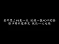 恰似你的温柔 蔡琴 (歌词版)