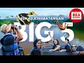 Download Lagu The BIG 5 BORNEO : Amazon of The East | Sukau Kinabatangan River, Sabah, Malaysia | Greenview B\u0026B