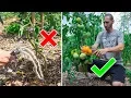 How Much Should I Water My Garden
