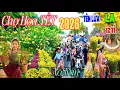 Lagu Sôi Nổi “Vỡ Trận”Chợ Hoa Tết Sài Gòn 2026 Mai Bạc Tỷ Bùng Nồ Bông Cúc To Nhất Sài Gòn 
