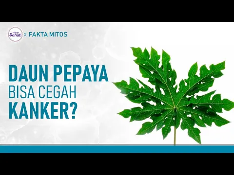 Mitos dan Fakta Daun Pepaya, Benarkah Bisa Mencegah Kanker?