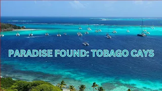 PARADISE FOUND: TOBAGO CAYS – TEAL BLUE WATERS, SWAYING PALMS, ENDLESS FUN!