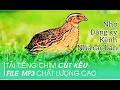 Tiếng chim cút kêu, file mp3, chất lượng cao