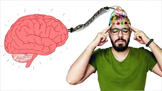 كيف تقوي ذاكرتك بنسبة 500 