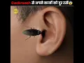 Channel