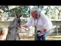 FJ Tours Award Winning Blue Mountains Tour