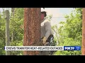 AES crews train for heat-related outages